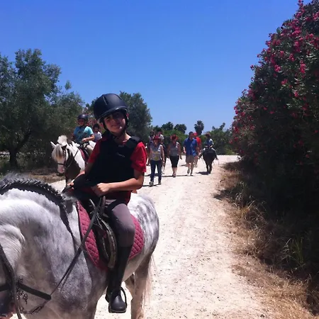 Ag Galeon Apartamento Playa de Gandia