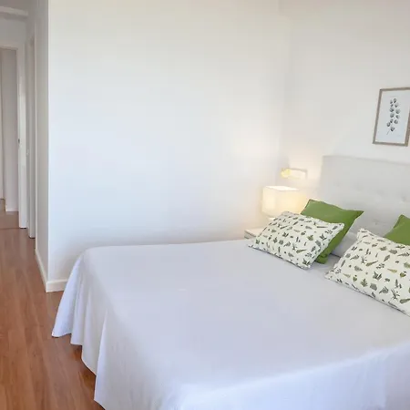 Ag Galeon Playa de Gandia